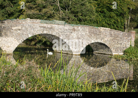 Swan swimming on the lake under the historic arched stone bridge at Waverley Abbey House, Surrey, UK Stock Photo
