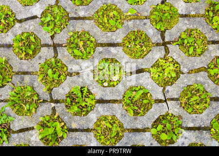 Eco permeable pavement with grass growing through it. Environmentally friendly green parking. Stock Photo