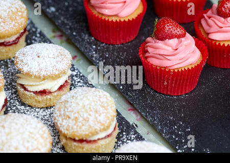 Strawberry jam and cream sponge cupcakes. Stock Photo