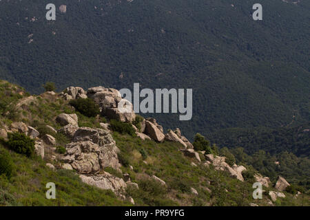 Beautiful countryside September. Southern Sardinia, Italy Stock Photo