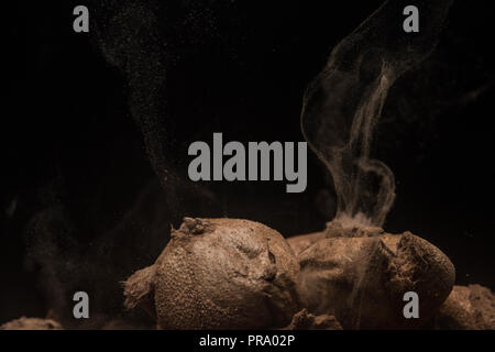 Puffball mushrooms releasing their spores in a cloud with a black background to emphasize details.  Photographed in Southern Wisconsin, USA. Stock Photo