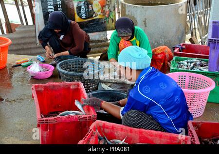 Three Thai women in hijab clean and wash fish at village in Pattani Thailand Stock Photo