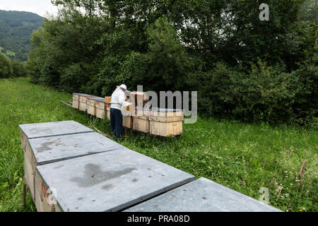 Beekeeper with smoker and various beekeeping tools working on a beehive. Stock Photo