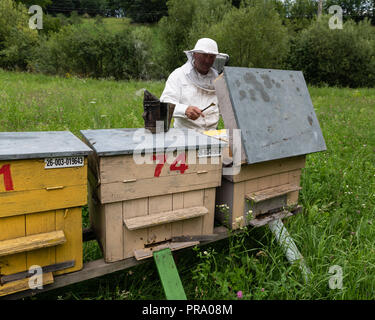 Beekeeper with smoker and various beekeeping tools working on a beehive. Stock Photo
