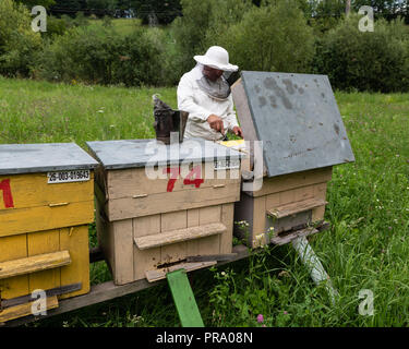 Beekeeper with smoker and various beekeeping tools working on a beehive. Stock Photo