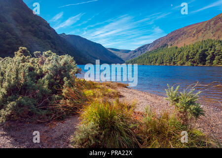 Morning at Upper Lake in Glendalough, Wicklow Mountains - Ireland Stock Photo