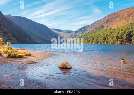 Morning at Upper Lake in Glendalough, Wicklow Mountains - Ireland Stock Photo