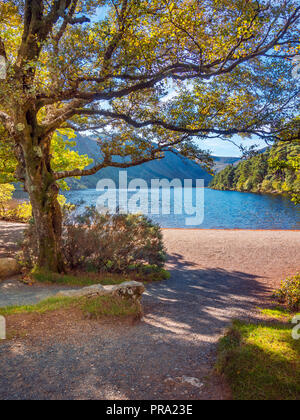 Glendalough Upper Lake Stock Photo - Alamy