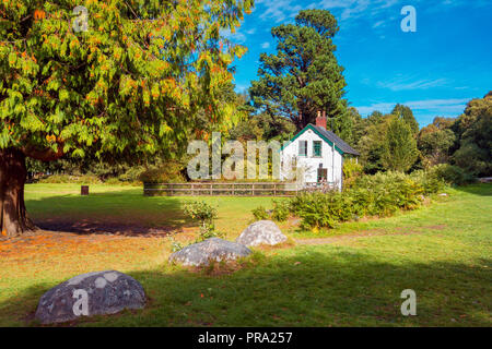 Morning at Upper Lake in Glendalough, Wicklow Mountains - Ireland Stock Photo