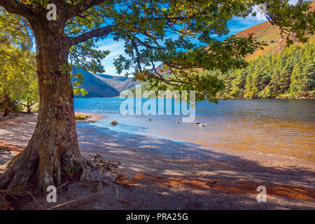 Morning at Upper Lake in Glendalough, Wicklow Mountains - Ireland Stock Photo