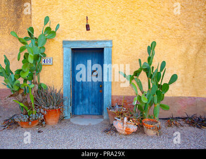Blue Wooden Door on yellow stucco with prickly pear cactus potted plants Stock Photo