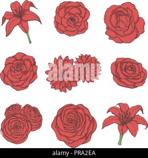 Hand drawn vector set of red rose, lily, peony and chrysanthemum flowers line art isolated on the white background. Vintage floral elements for your d Stock Vector