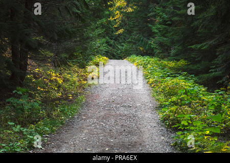 The scenic landscapes of the Elfin Lakes Trail in Whistler BC Canada. Stock Photo