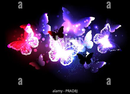 Swarm of glowing night butterflies on  night, black background. Stock Vector