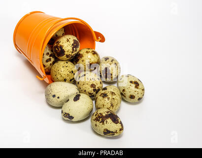 quail eggs in miniature bucket on a light background Stock Photo