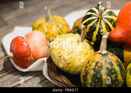 Basket with decorative pumpkins on dark wood background Stock Photo