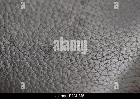 surface patterns of leather Stock Photo
