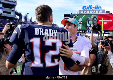 Miami dolphins quarterback ryan tannehill hi-res stock photography and  images - Alamy