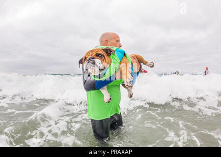 Hunnington Beach, CA, USA. 29th Sep, 2018. Surfcity Surfdog competition. The McKenna Subaru Surf City Surf DogÂ¨, the world-famous premier event on the dog surfing circuit is held annually in late September in Surf City USA. The event brings together the community, surfers, dog lovers, families & pets for a day of fun and fundraising at one of Southern California's most pristine beaches - Huntington Dog Beach! Credit: Daren Fentiman/ZUMA Wire/Alamy Live News Stock Photo