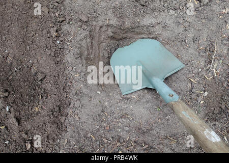 Shovel in the ground Stock Photo