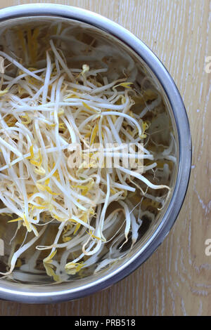 Close up of fresh mung bean sprouts in stainless steel bowl on wooden background