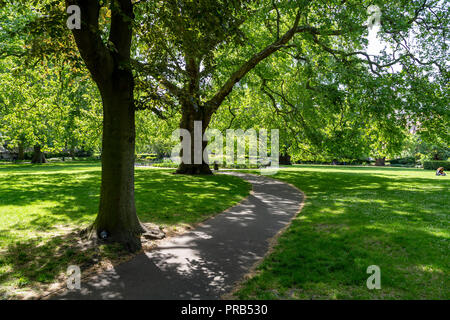 The Brunswick Plane in Brunswick Square Gardens, London, WC1, UK Stock ...