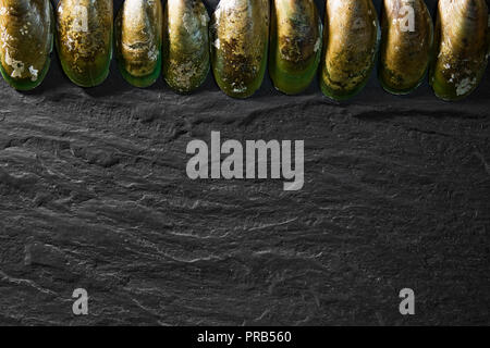Calm shells background on the stone table. Free space for text . Top view Stock Photo