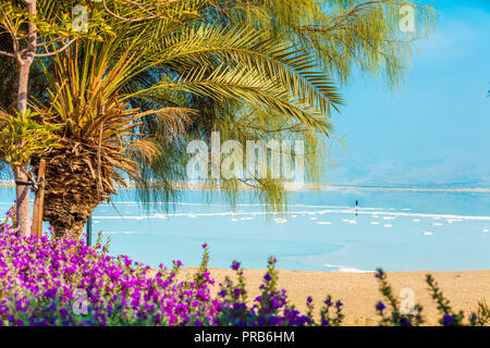 Tropical landscape with dramatic sky. Dead Sea shore. Palm trees on the beach. Ein Bokek, Israel Stock Photo
