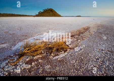 Lake Ballard, a dry salt lake near Menzies in Western Australia Stock Photo