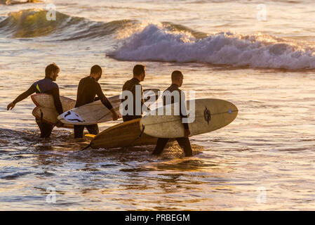 A group of surfers walking into the sea in the evening at Fistral in Newquay in Cornwall. Stock Photo