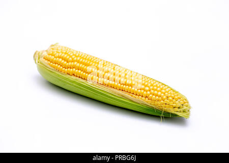 Single corn cob isolated on white background. Stock Photo