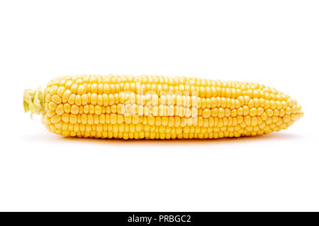 Single corn cob isolated on white background. Stock Photo