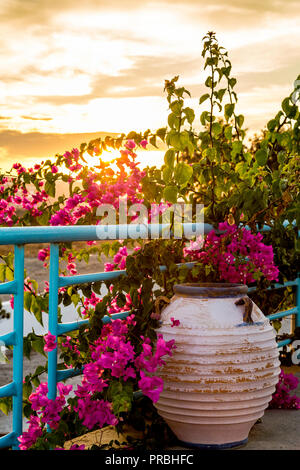 Flowers in a Typically Beautiful Santorini Sunset Stock Photo