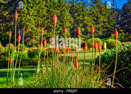 Shore Acres State Park Gardens at the Central Oregon Beach Stock Photo