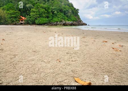 Ghost or sand crab burrows on the beach with white sand, yellow leaves and rocky limestone cliff at Pathio District of Chumphon province of Thailand. Stock Photo