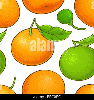 mandarin vector pattern on white background Stock Vector