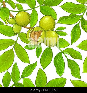 walnut vector pattern on white background Stock Vector