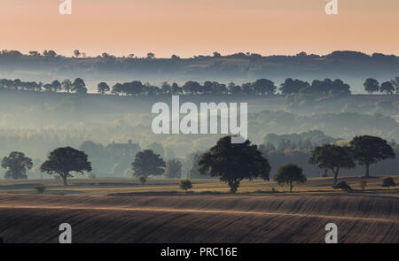British countryside fields with numerous trees in mist at autumnal morning. Shropshire in United Kingdom Stock Photo