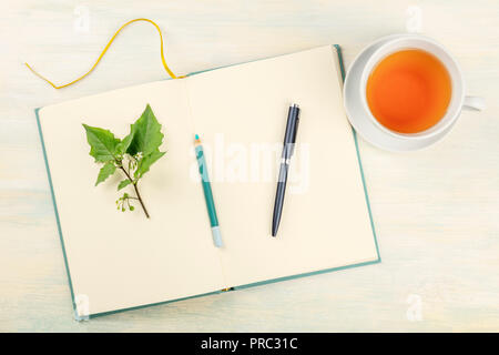 An overhead photo of an open journal with a branch with green leaves, a pencil, a pen, and a cup of tea, shot from above with copy space Stock Photo