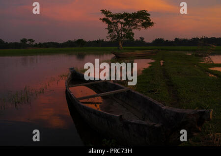An image of submerged paddy fields during floods on evening Stock Photo