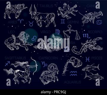 Constellations, zodiac signs, horoscope. Aries, Taurus, Gemini, Cancer, Leo, Virgo, Libra, Scorpio, Sagittarius, Capricorn, Aquarius, Pisces. Vintage engraving style symbols on a space background. Stock Vector