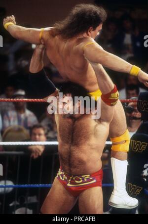 Scott Norton Razor Ramon Razor Ramon (#ScottHall) 1993 Photo By John Barrett/PHOTOlink ...