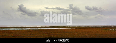 Panorama view on the east coast of the Dutch wadden island Texel, in the Netherlands. The shore is flooded by brackish water during high tides. Stock Photo