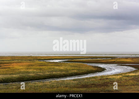 Beautiful view on the kwelders on the north east coast of Texel, one of the wadden islands in the Netherlands. The kwelders area is outside the dikes Stock Photo