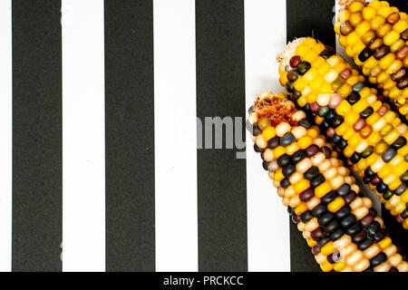 Indian corn husks and kernals. Colorful vegetable, useful for fall harvest concepts. Black and white striped background Stock Photo