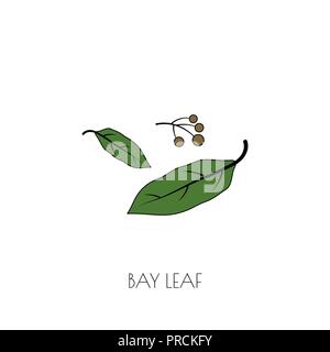 Spice bay leaf icon Stock Vector