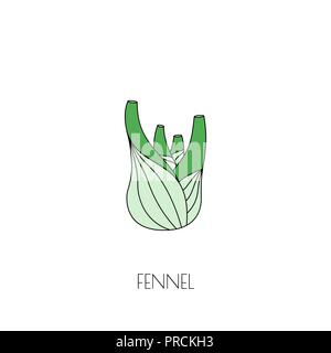 Spice fennel icon Stock Vector