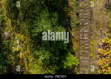 Aerial view of a train track through woodland Stock Photo