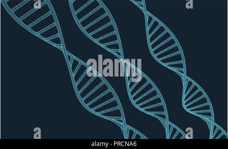 Grey DNA with polygon line on blue background. Polygonal space low poly with connecting dots and lines. Connection structure. Vector science background. Stock Vector
