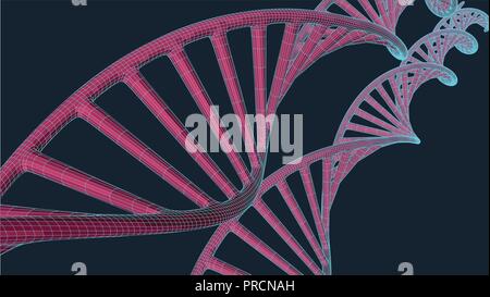 Grey DNA with polygon line on blue background. Polygonal space low poly with connecting dots and lines. Connection structure. Vector science background. Stock Vector